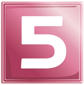 Net 5